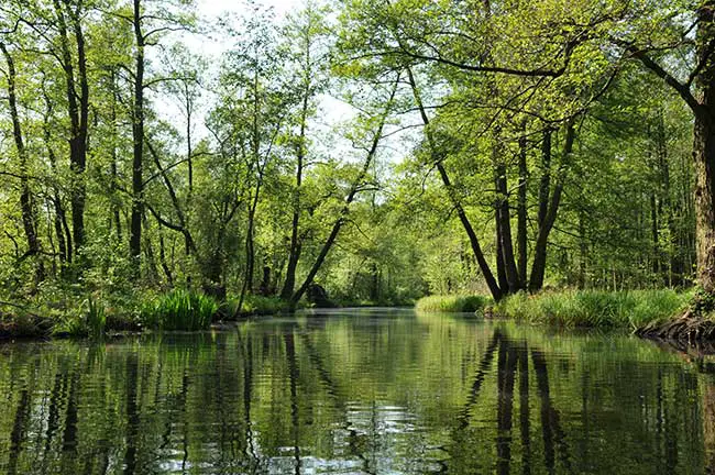 Sternzeichen/Tierkreiszeichen Krebs Aszendent Schütze