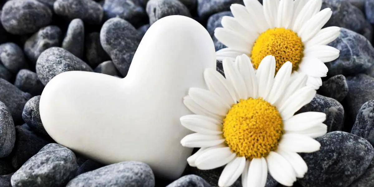 The Single Horoscope: Which Zodiac Signs are compatible The Single Horoscope: Which Zodiac Signs are compatible