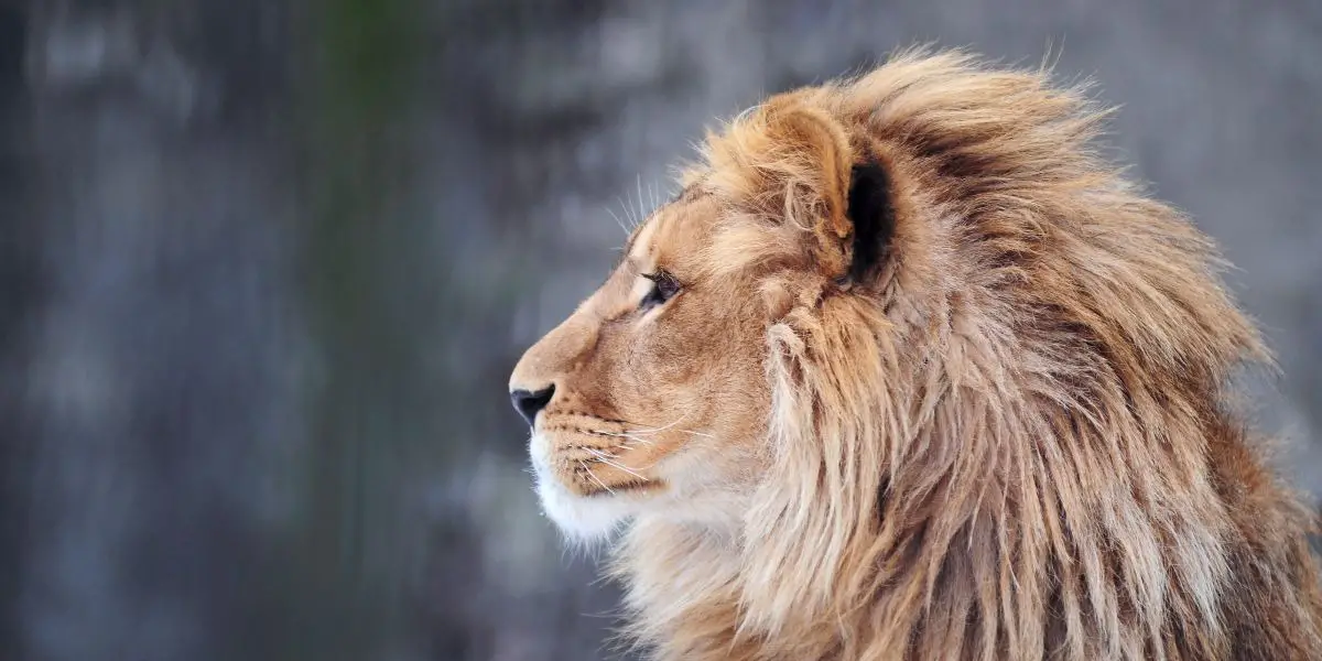 Love Horoscopes For Today And Tomorrow Love Horoscopes For Today And Tomorrow